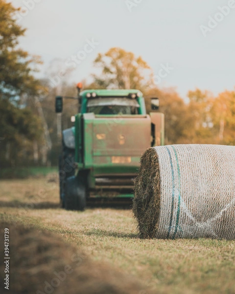 Obraz tractor making bales in field