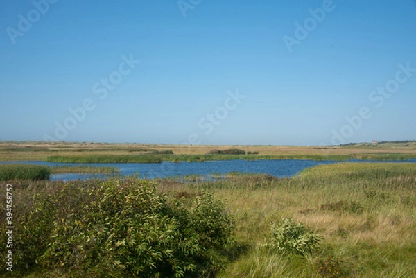Fototapeta Naturschutzgebiet Dänemark