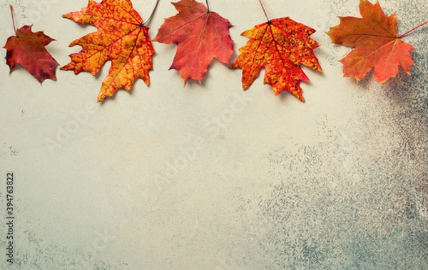Fototapeta Autumn background with red maple leaves
