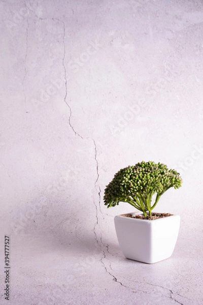 Obraz small tree located in the lower right