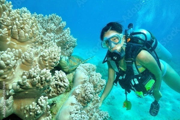 Obraz 若い女性ダイバーとアオウミガメ