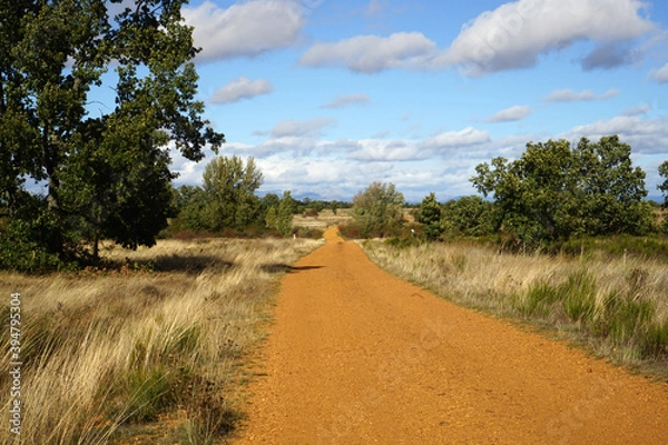 Obraz Jakobsweg südwestlich von Leon,  Heidelandschaft, Spanien