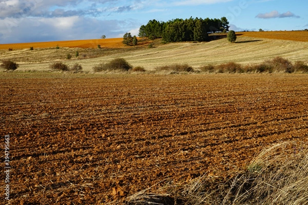 Obraz Jakobsweg südwestlich von Leon,  Heidelandschaft, Spanien