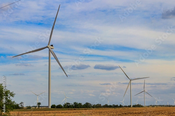 Fototapeta Wind turbines in a field. Renewable energy