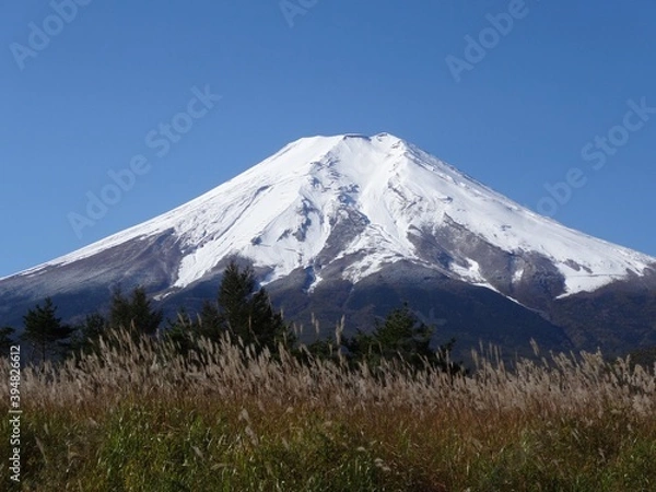 Fototapeta 富士山
