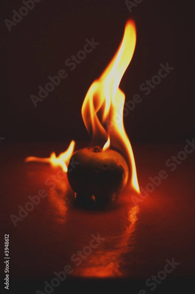 Fototapeta Roasted Apple