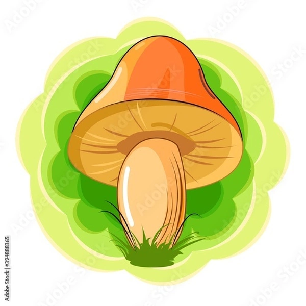 Fototapeta Orange mushroom on an abstract background. Picture. Vector isolated on white. Cartoon flat style. Beautiful little forest mushroom in the grass.