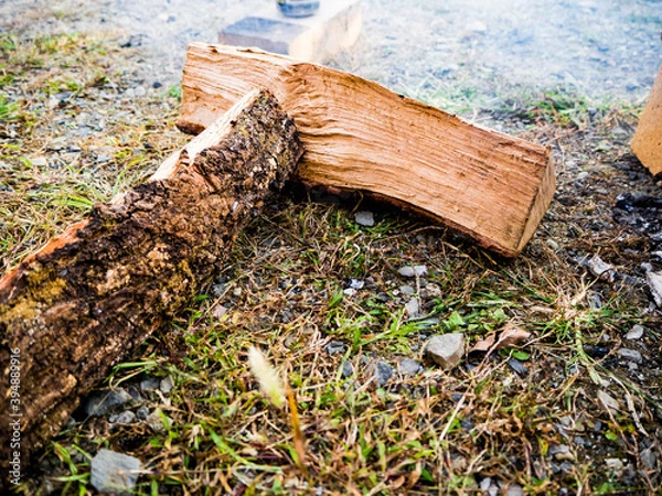 Obraz キャンプ場で使うよく燃える薪