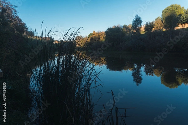 Obraz River and nature
