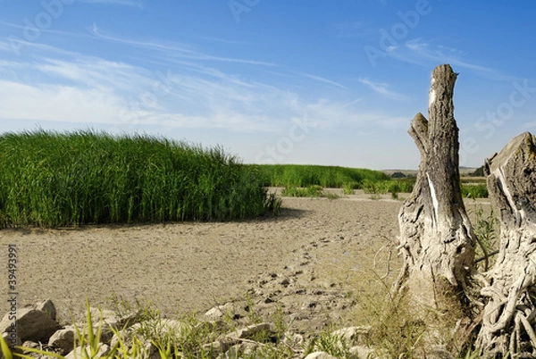 Fototapeta Dry Lake
