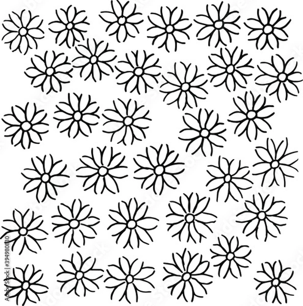 Fototapeta Simple line drawings of flowers. A pattern of flowers.
