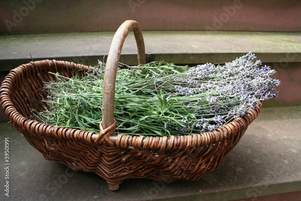 Fototapeta Lavendelkorb