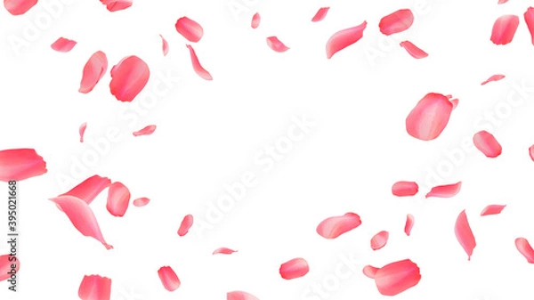 Fototapeta flying rose petals on white background 3d rendering 