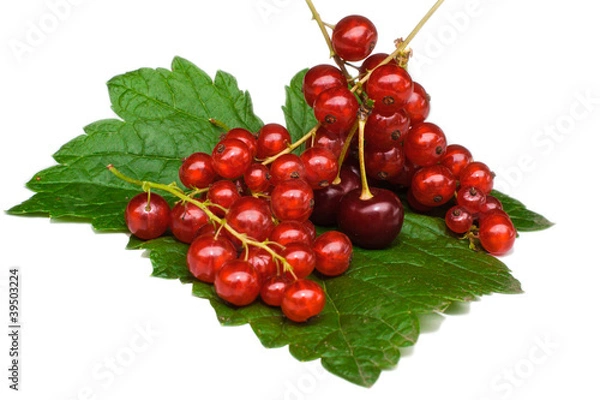 Fototapeta Currant and cherry