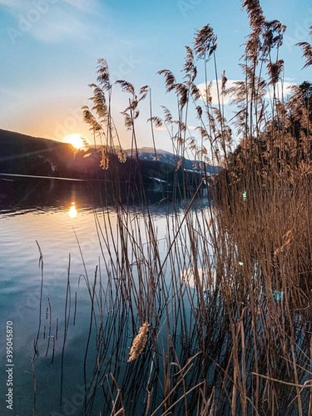 Obraz sunset on the river