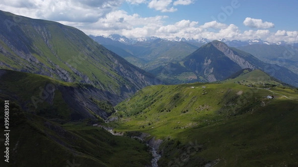 Fototapeta aiguilles d'arves