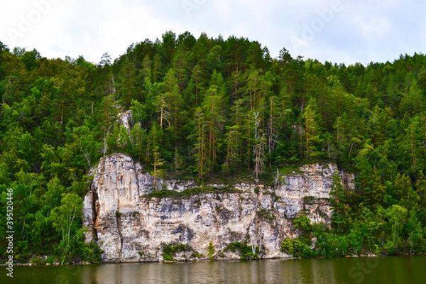 Obraz lake and forest