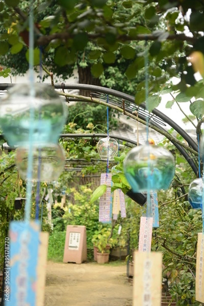 Obraz おふさ観音の風鈴まつり