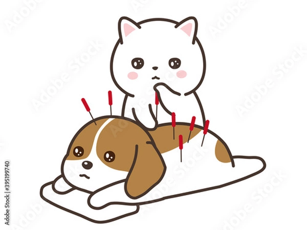 Fototapeta ペットの鍼治療　猫と犬