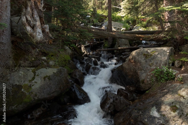 Obraz waterfall in the forest