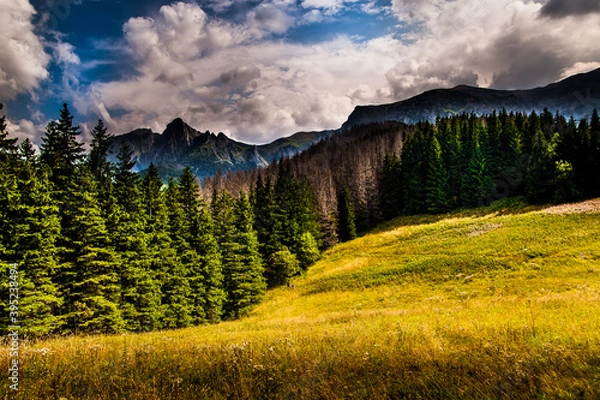 Obraz landscape in the mountains