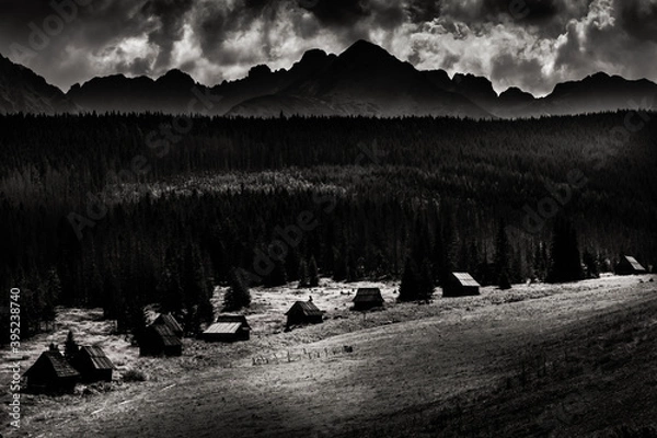 Obraz landscape with fog
