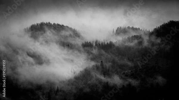 Obraz misty morning landscape
