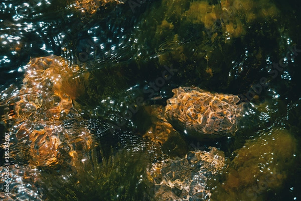 Fototapeta Detail of some rocks under the sea with light reflections on the surface of the water