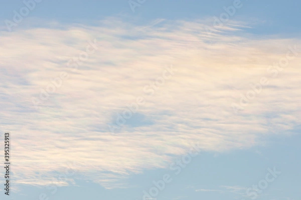 Obraz Spectacular starling mumuration at sunset