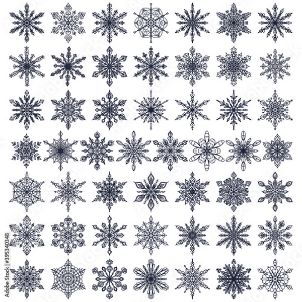 Obraz Fifty vector snowflakes on white background. 