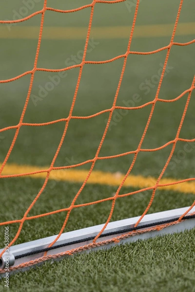 Fototapeta Behind the Net