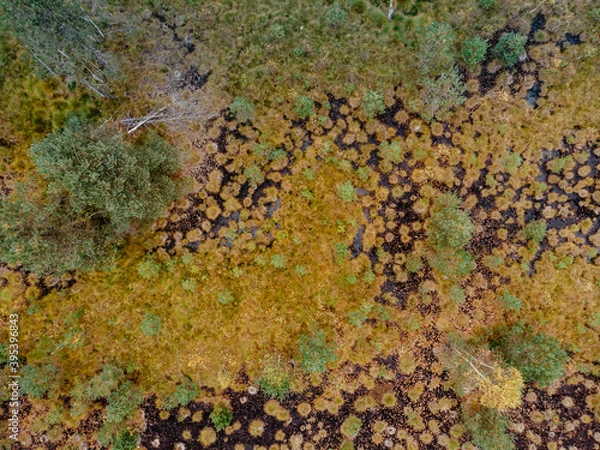 Fototapeta Aerial view of peat bog pattern with lake,green orange mosses in Sumava National Park, Czech republic.Colorful aerial landscape.Top view drone shot of fresh fall nature.Bog wetlands.Shallow basin.
