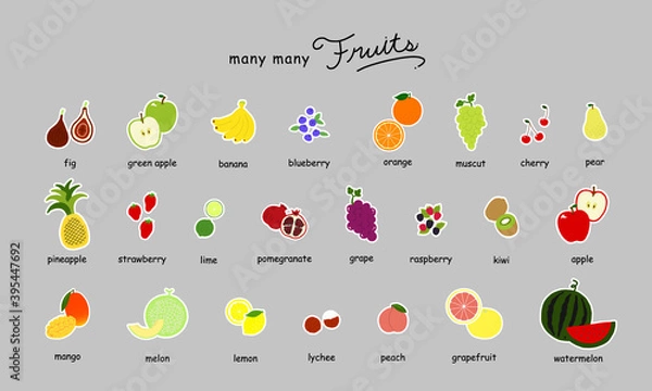 Obraz フルーツの手描きイラストアイコンセット
