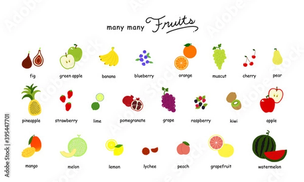 Fototapeta フルーツの手描きイラストアイコンセット 白背景