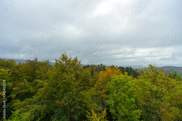 Fototapeta Herbstliche Landschaft im Schwarzwald