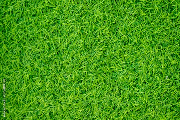 Fototapeta Green artificial grass natural