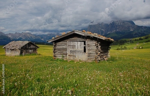 Obraz Capanni sull'Alpe di Siusi