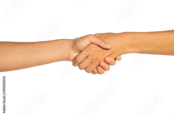 Obraz handshake isolated on white background