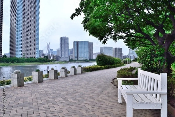 Obraz 越中島公園遊歩道 永代橋方面