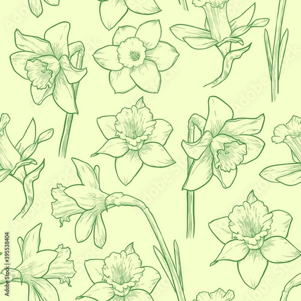 Obraz Light green floral seamless pattern. Hand drawn daffodils vector illustration.