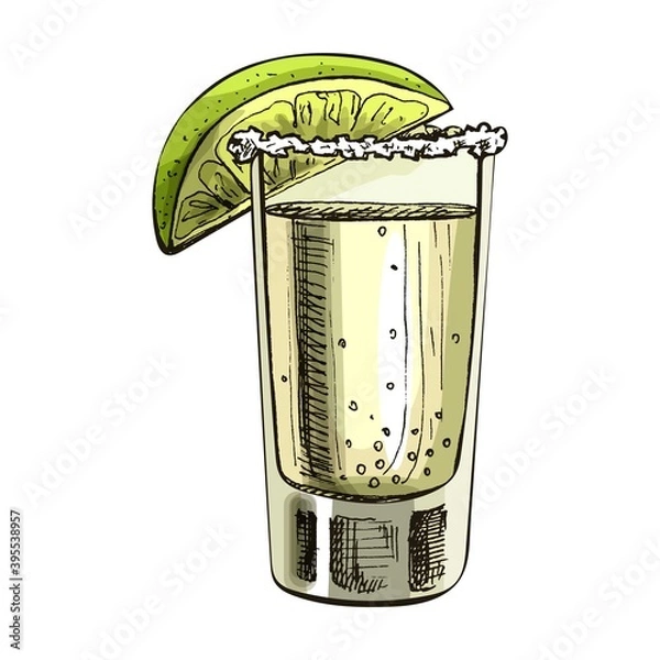 Obraz Glass tequila with slice lime. Vector vintage hatching