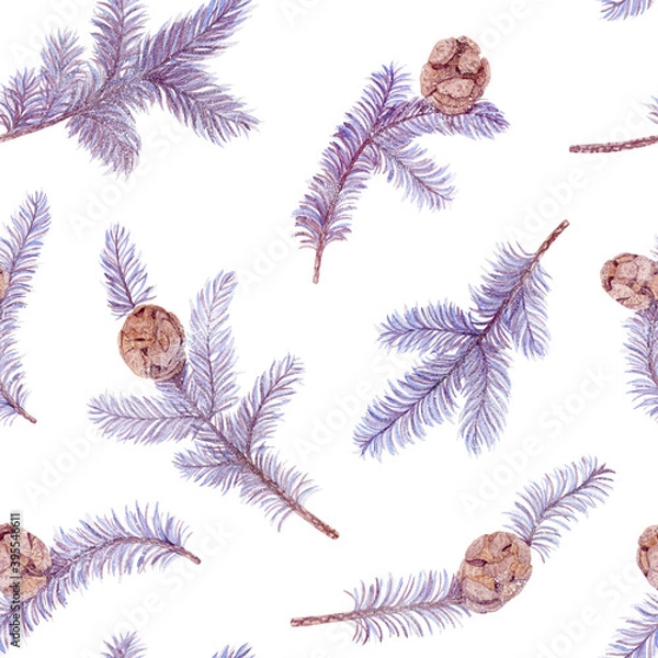 Fototapeta А seamless new year pattern of blue spruce branches with cones on a white background