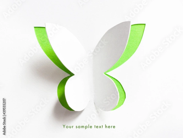 Fototapeta Greeting card whith paper butterfly