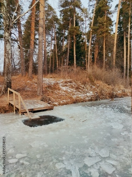 Fototapeta ice hole for swimming in the lake near the pine forest