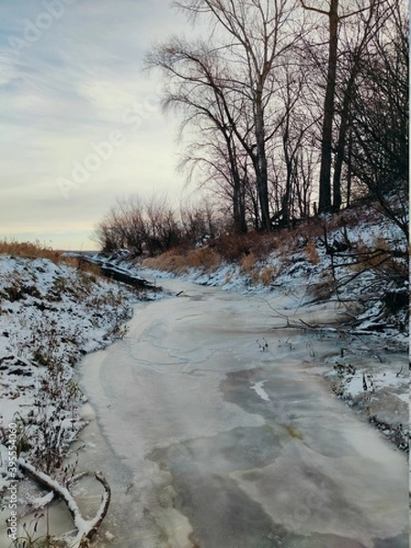 Fototapeta frozen river with snow covered banks and trees with fallen leaves