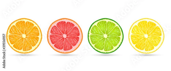 Fototapeta Citrus fruit slices of orange, grapefruit, lime and lemon isolated on a flat white background with shadows underneath, vector illustration