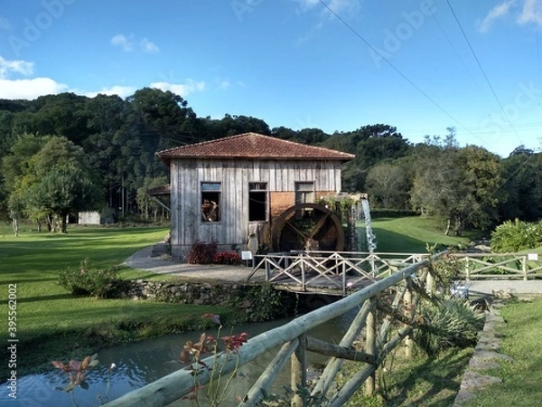 Obraz old house in the woods