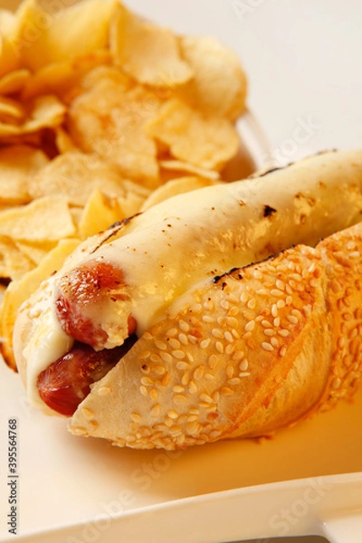 Obraz Brazilian hot dog