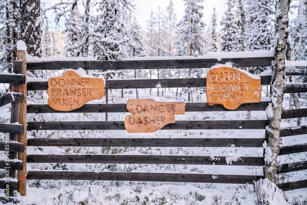 Fototapeta Location of Santa's Reindeer in Lapland, Finland. Donner, Pranser, Vixen, Dancer. Dasher, Blzen, Comet, Cupid