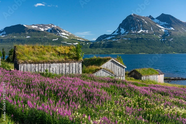 Fototapeta View from Kvaløya, Troms, Norway.